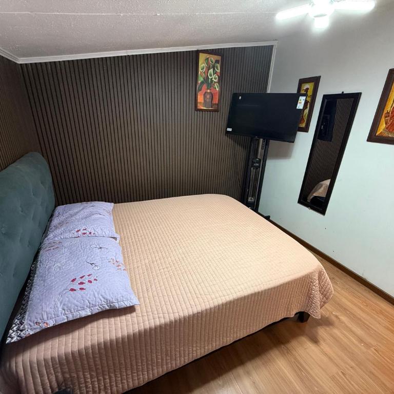 Megane - Apartamento de 1 dormitorio - 5