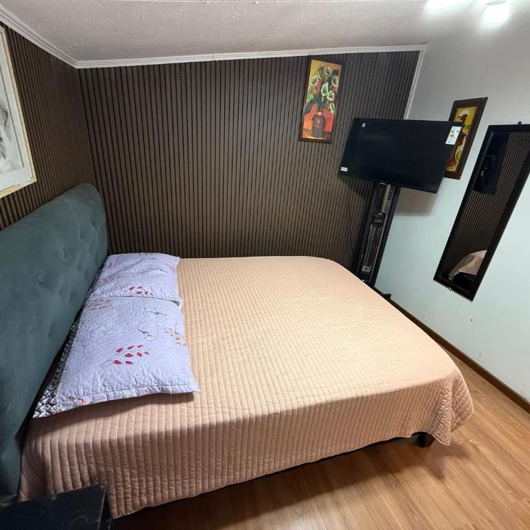 Megane - Apartamento de 1 dormitorio - 13