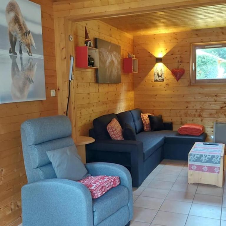 Nouveau ské chalet, SPA privatif, terrain clôturé, garage - Chalet 2 Chambres - 11