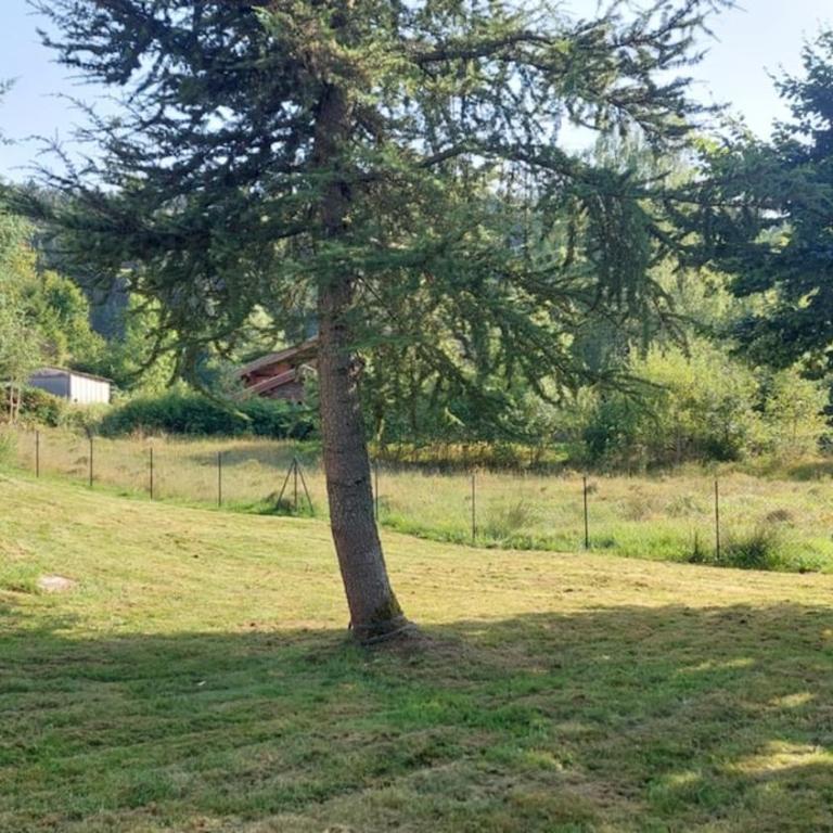 Nouveau ské chalet, SPA privatif, terrain clôturé, garage - Chalet 2 Chambres - 34