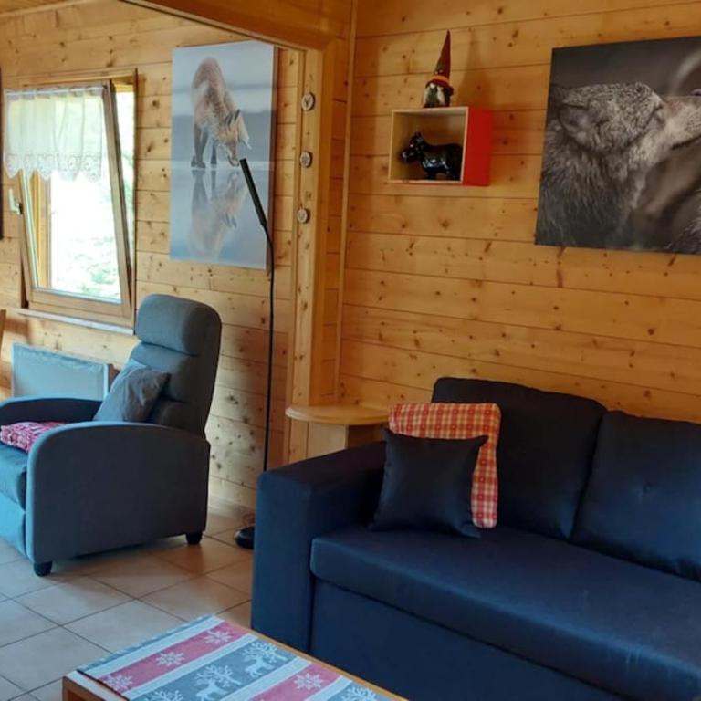 Nouveau ské chalet, SPA privatif, terrain clôturé, garage - Chalet 2 Chambres - 36