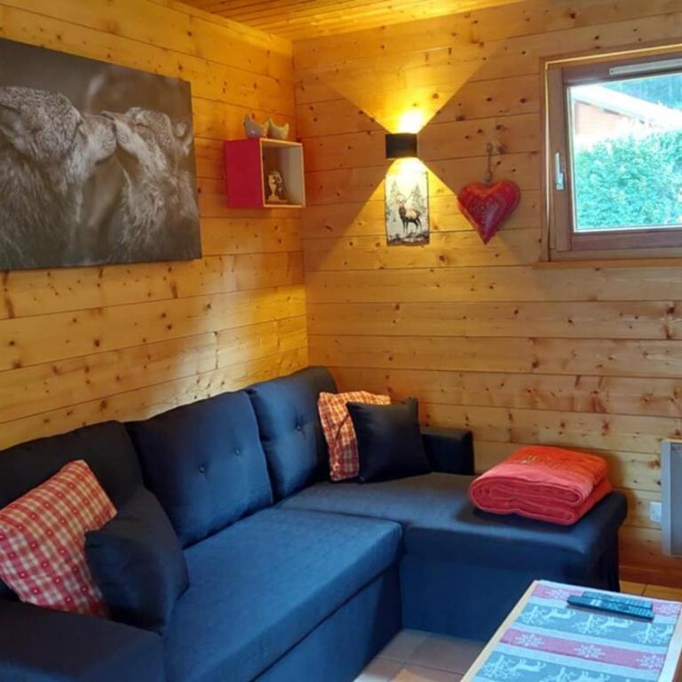 Nouveau ské chalet, SPA privatif, terrain clôturé, garage - Chalet 2 Chambres - 14