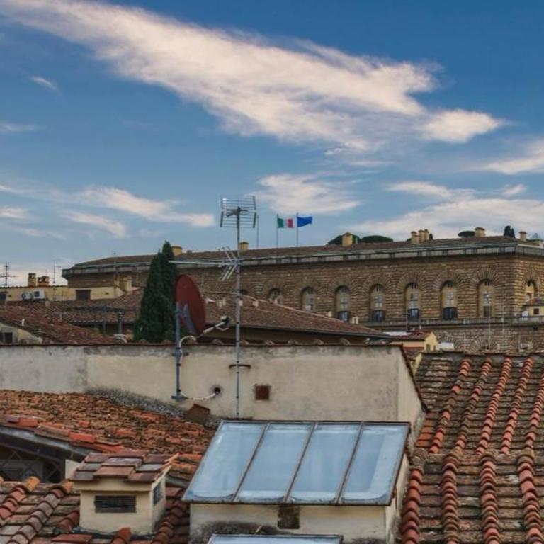 Charming & Spacious Florence Apartment - Appartamento - 49