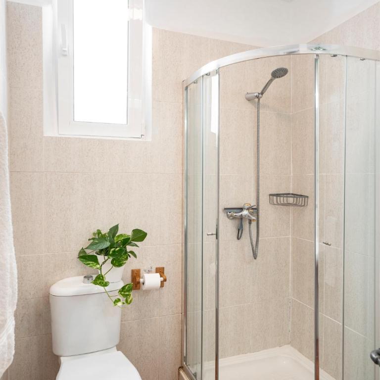 Andalusian Ruby - Light-Filled Apartment by the Cathedral - 2A - Two-Bedroom Apartment - 8