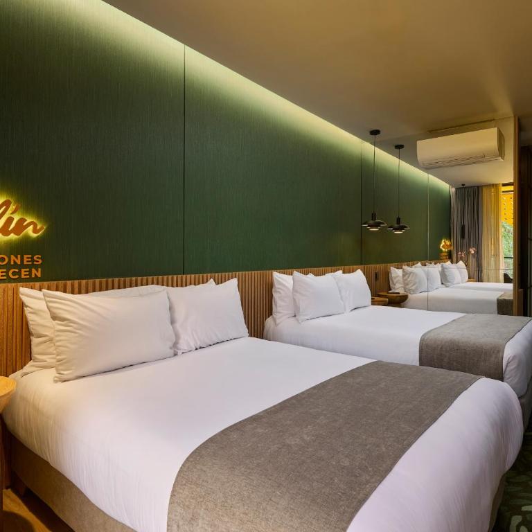 Calle Flora Hotel by Jalo - Standard Double Room with Two Double Beds - 3