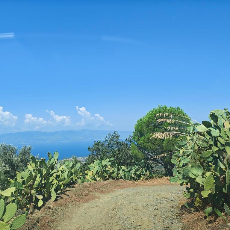 Il casale degli aragonesi - Two-Bedroom Villa - 7