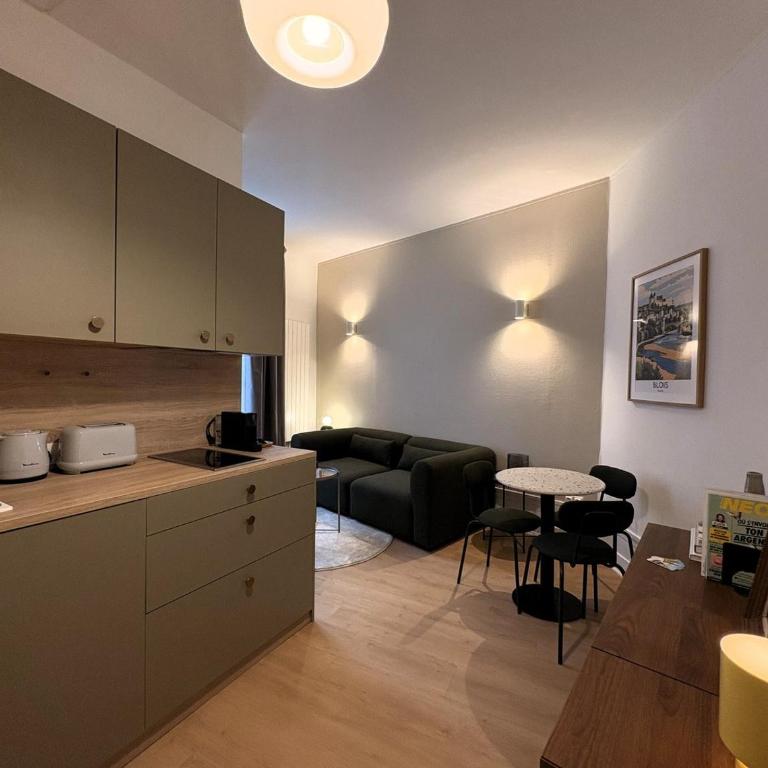 L'écrin Blésois - Apartment - 12