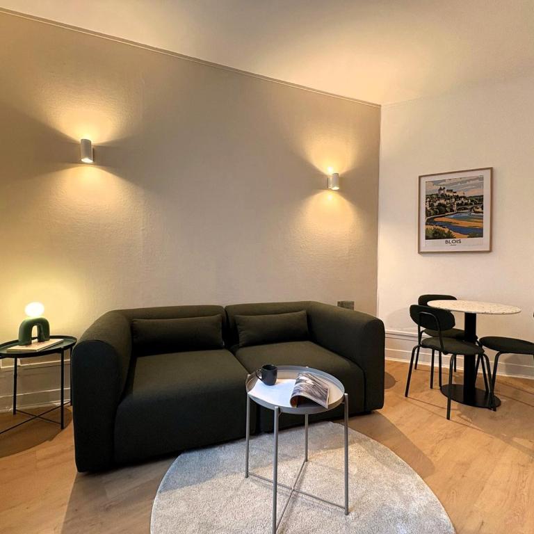 L'écrin Blésois - Apartment - 1