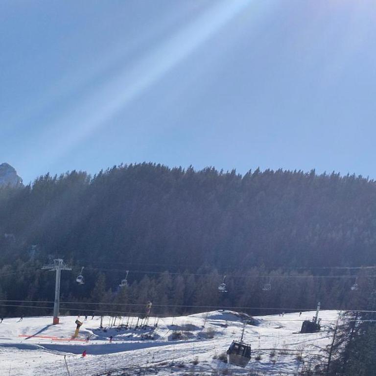 Praloup 1600 pieds des pistes - Les Blanchons - Appartement 1 Chambre - 2