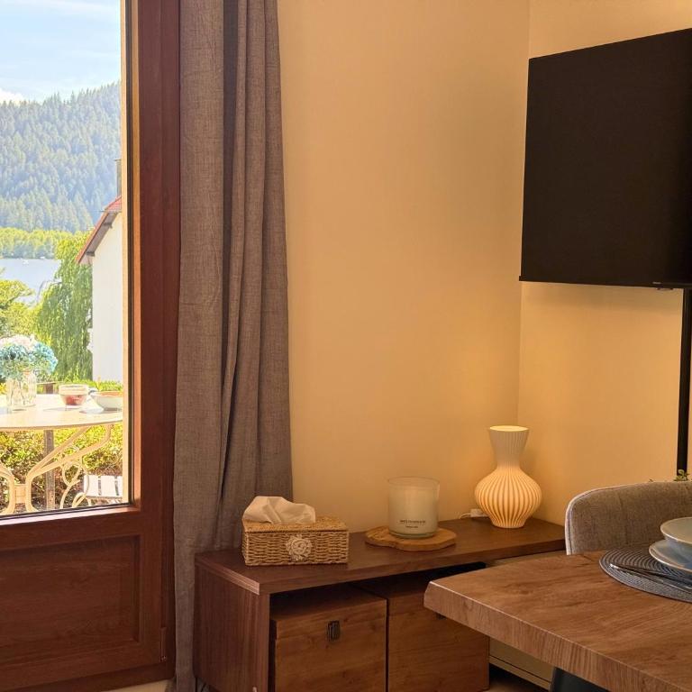 Le Cocon du Lac, terrasse, vue lac - Appartement 1 Chambre - 11
