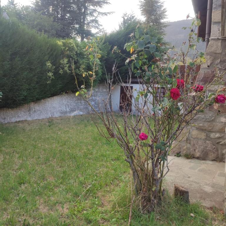 3p montagnard proche activité - Apartment mit 2 Schlafzimmern - 5