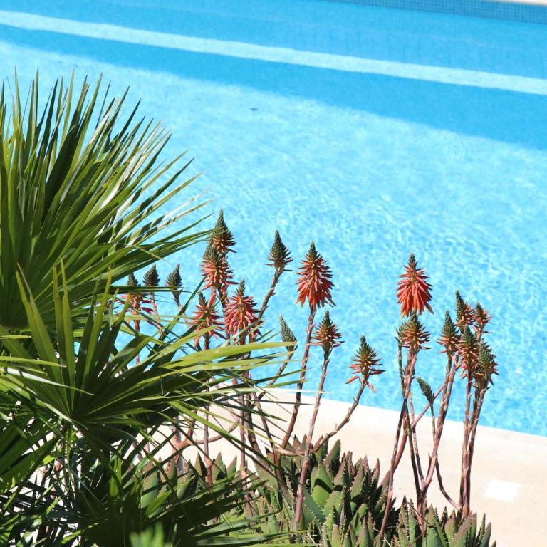Villa Mesomax - Vue Mer & Piscine à Hyères-Carqueiranne - Maison 3 Chambres - 13