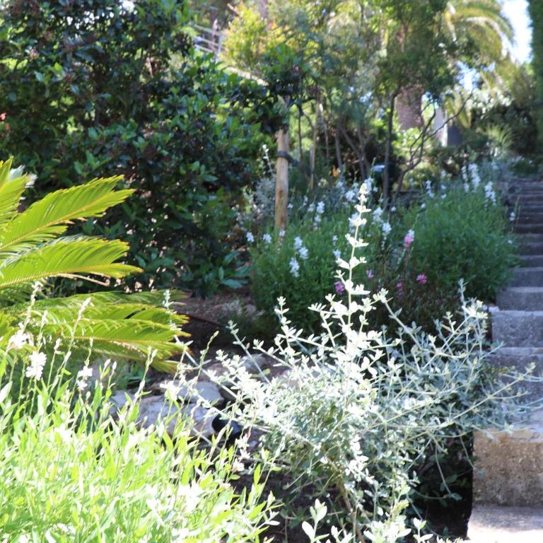 Villa Mesomax - Vue Mer & Piscine à Hyères-Carqueiranne - Maison 3 Chambres - 22