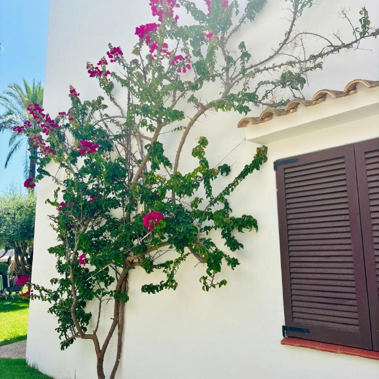 Aldeas de Taray Club 372 Admer - Apartment - 49