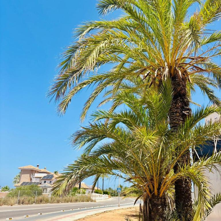 Aldeas de Taray Club 372 Admer - Apartment - 52