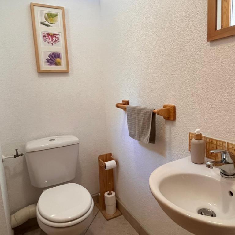 Chalet Le Sabot by OzAlpes - Sauna - 90m télécabine - parking privé - Maison de Vacances - 42