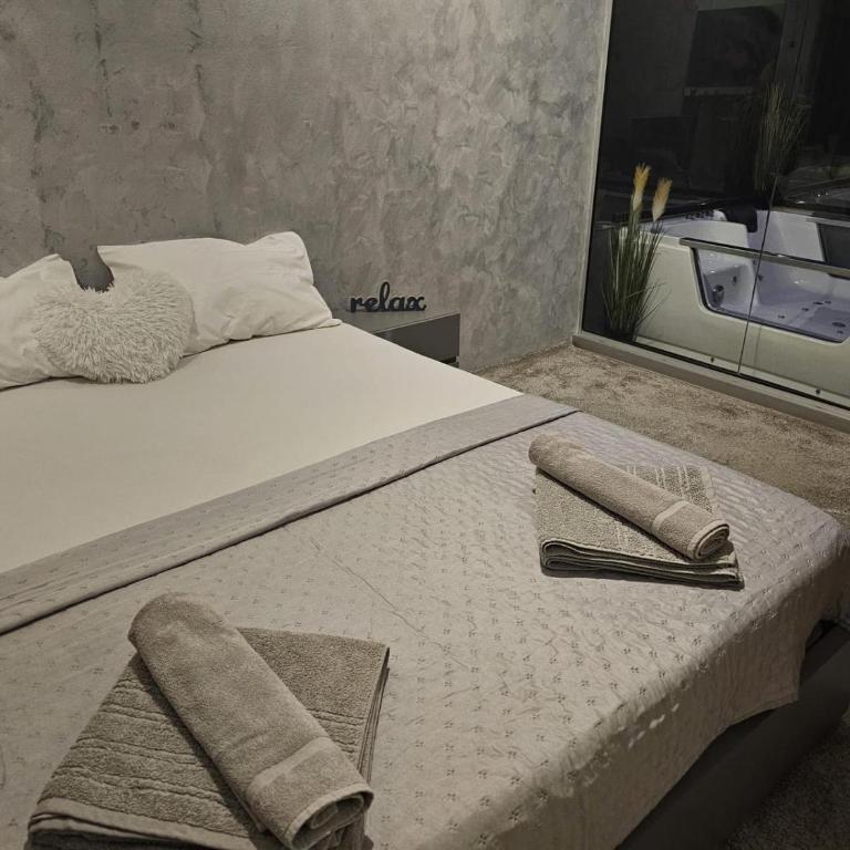 Naissus Spa - Apartman sa 1 Spavaćom Sobom - 2