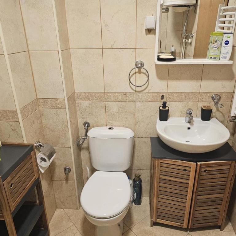 Naissus Spa - Apartman sa 1 Spavaćom Sobom - 4