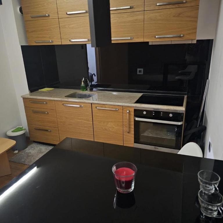 Naissus Spa - Apartman sa 1 Spavaćom Sobom - 7