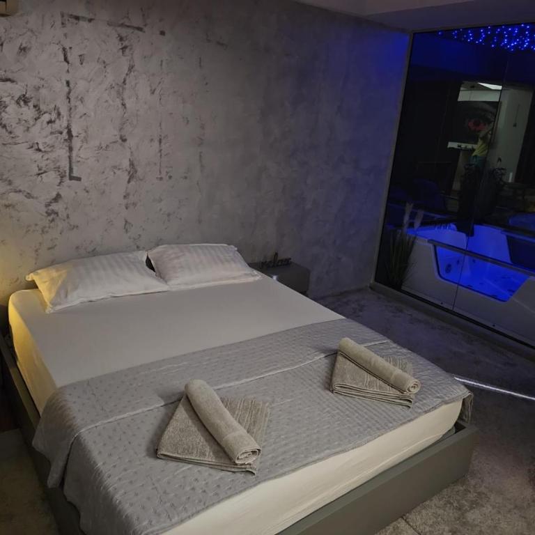 Naissus Spa - Apartman sa 1 Spavaćom Sobom - 8