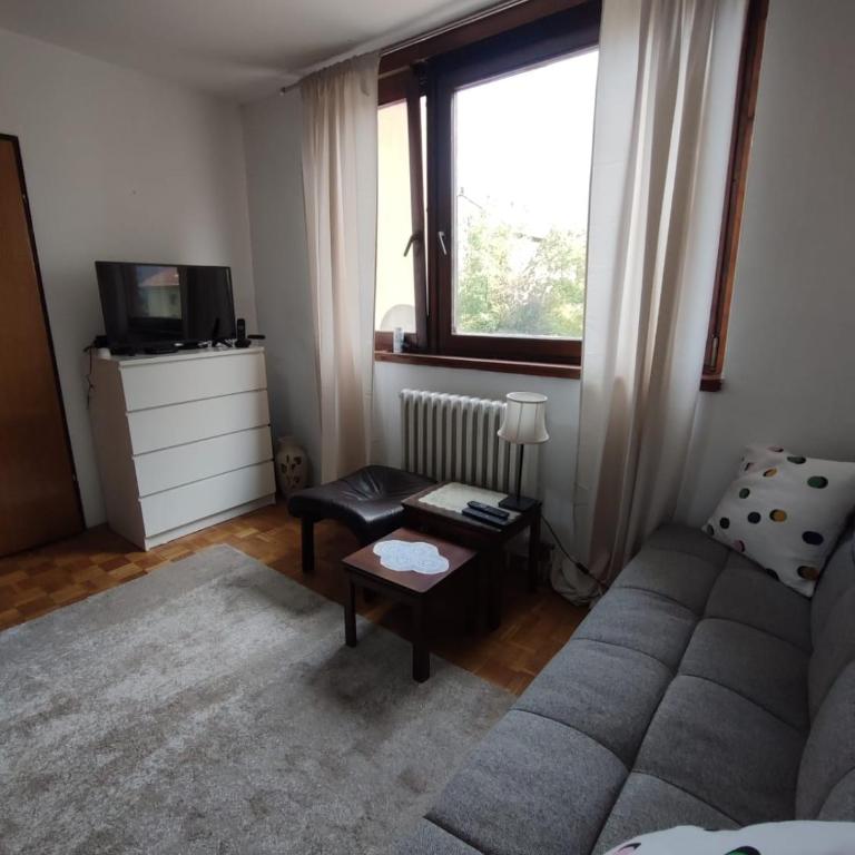 Urban Nest Sarajevo - Apartman sa 1 Spavaćom Sobom - 9