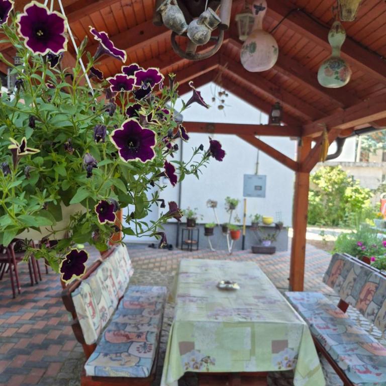 Apartments Villa Sena - Vila - 27