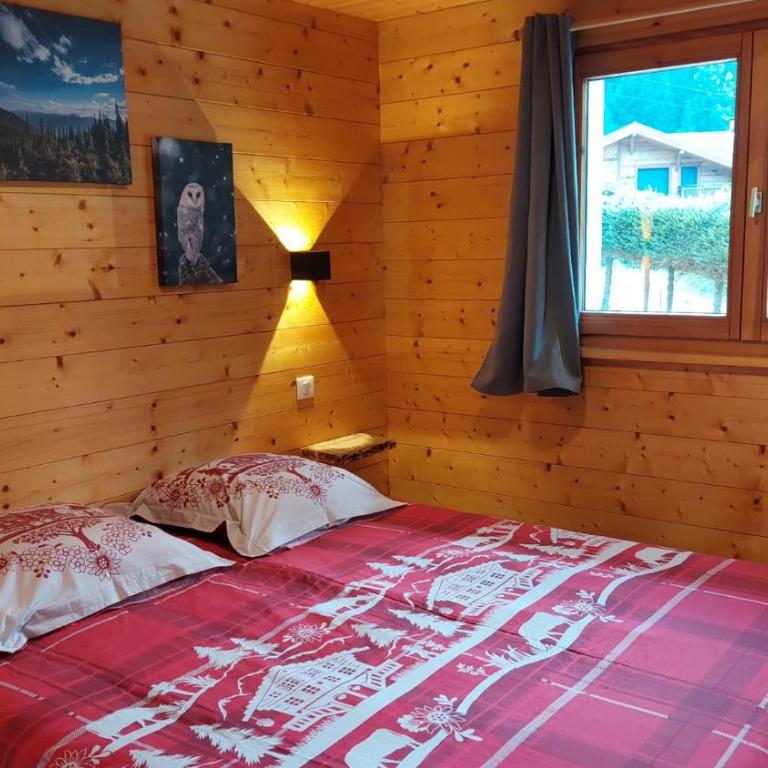Nouveau ské chalet, SPA privatif, terrain clôturé, garage - Chalet 2 Chambres - 12