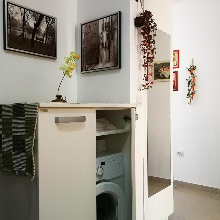 Gerbera Budva Montenegro - Apartman sa 1 Spavaćom Sobom - 15
