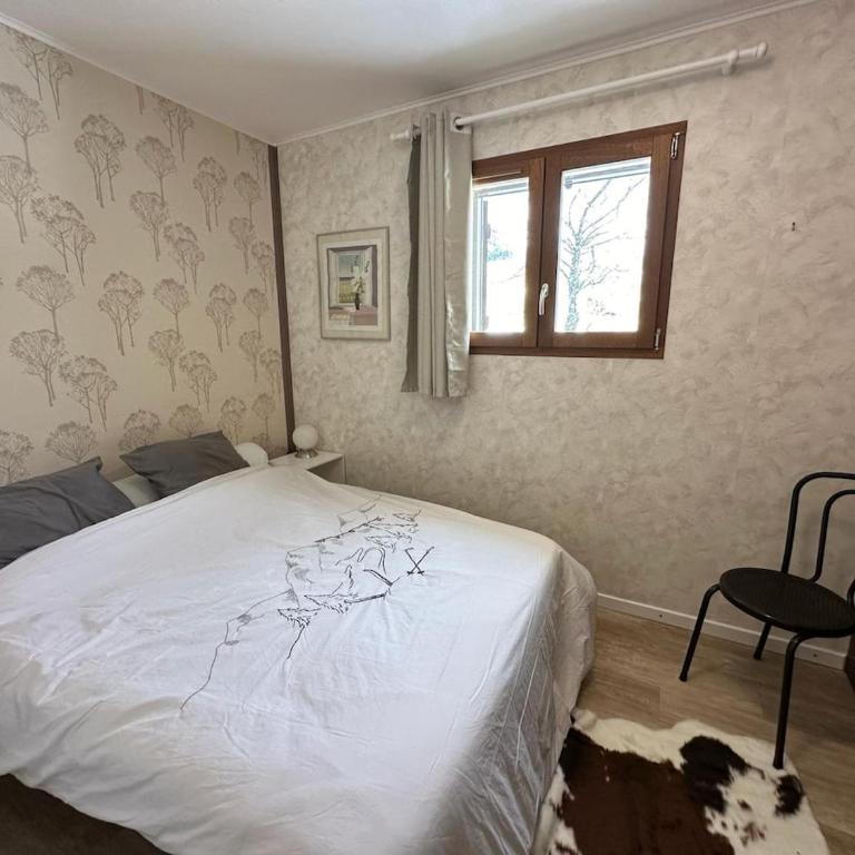 2 pièces Saint Dalmas Valdeblore - Appartamento con 1 Camera da Letto - 11