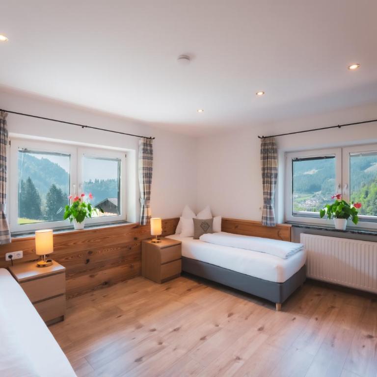 Haus Biechl mit Blick auf die Burg Hohenwerfen - Appartement 3 Chambres - 5