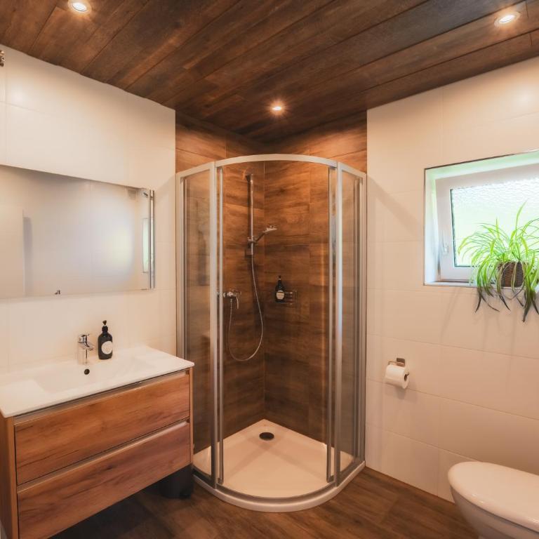 Haus Biechl mit Blick auf die Burg Hohenwerfen - Appartement 3 Chambres - 18