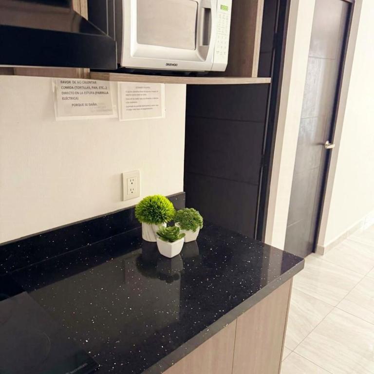 Marina Cerritos - Azul del Mar - 5 Albercas - Two-Bedroom Apartment - 4