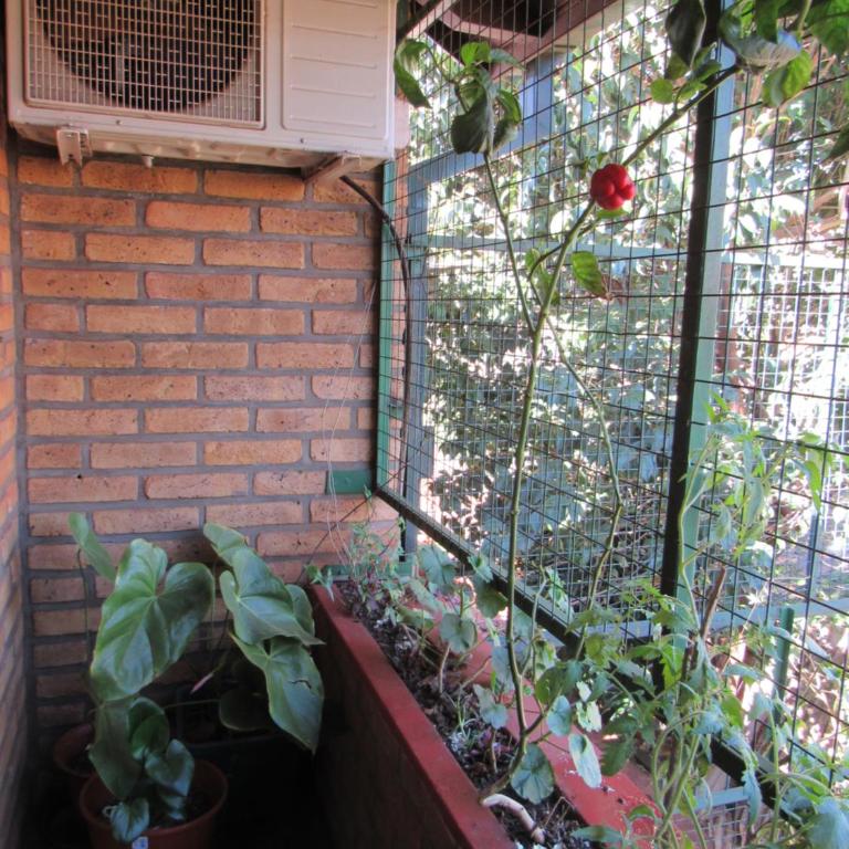 Vitral Cabaña Kindgreen - Studio - Split Level - 1