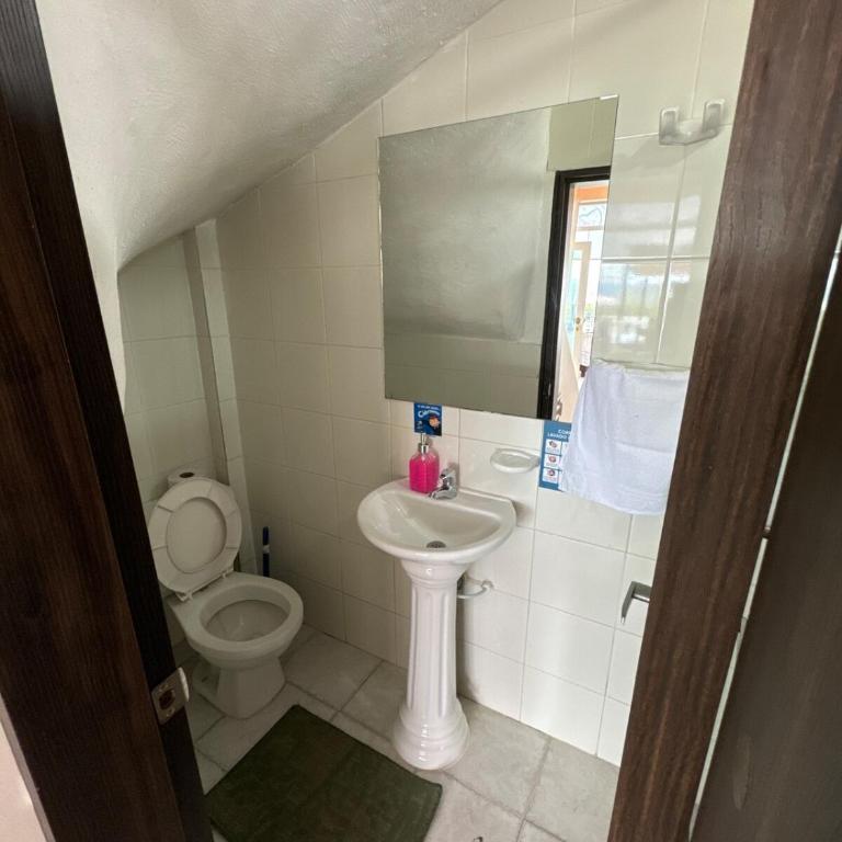 Hermosa casa en Anapoima, Excelente ubicación - Casa de 6 dormitorios - 26