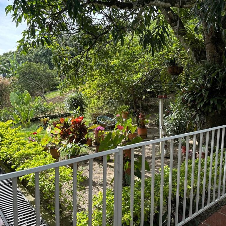Hermosa casa en Anapoima, Excelente ubicación - Casa de 6 dormitorios - 30