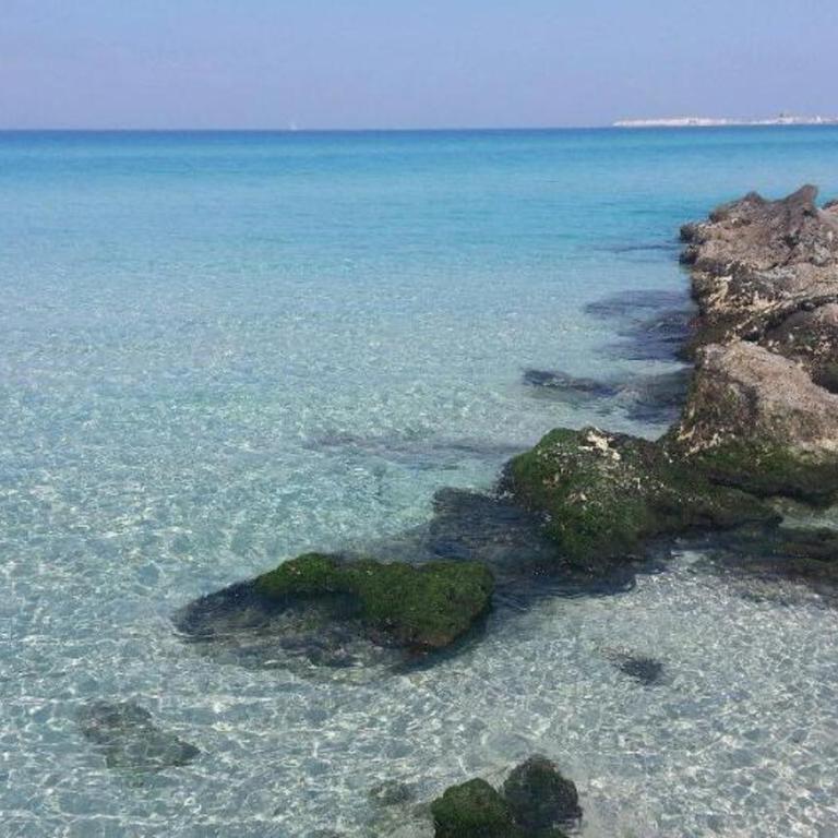 Arbacani Holydays - Appartamento - 19
