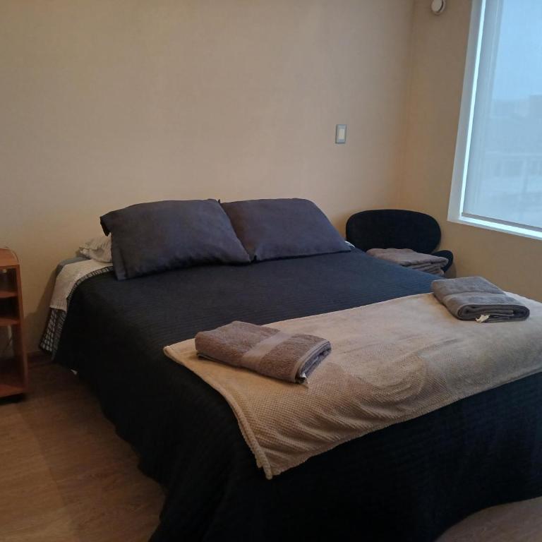 Departamento céntrico cochrane - Apartamento de 1 dormitorio - 2