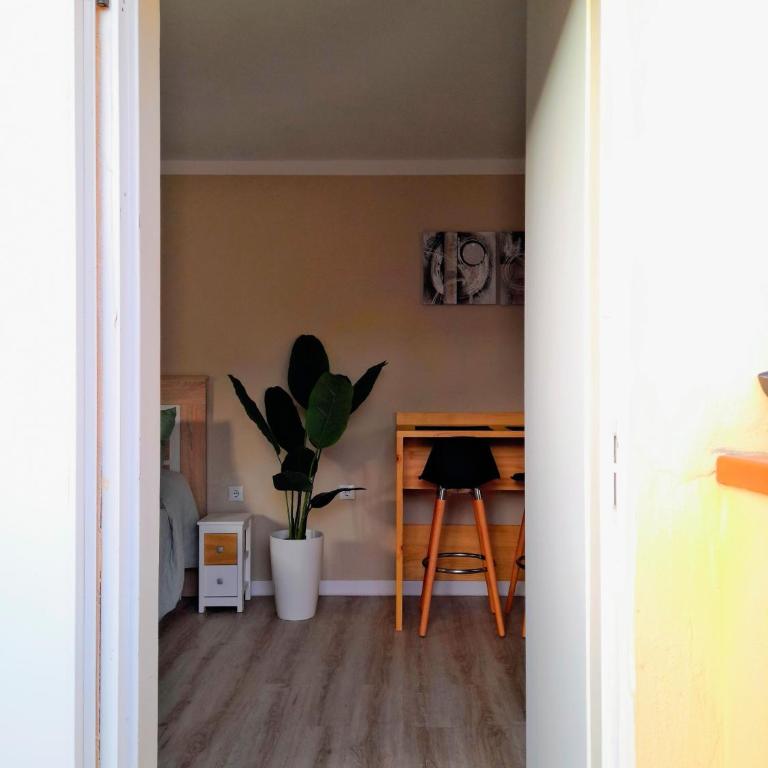 Estudio Doña Laly - Estudio con terraza - 10