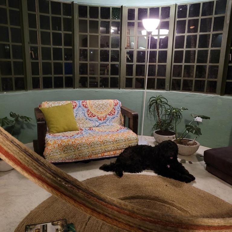 Casa Rosa de los Vientos in oak forest - Three-Bedroom House - 25