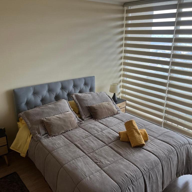 Departamento 1510 centro Temuco - Apartamento de 1 dormitorio - 3