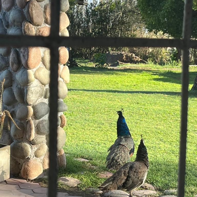 Posada La Escondida - Casa de 4 dormitorios - 3