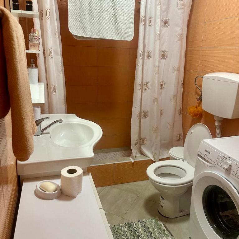 Dasic apartments 2 - Apartman sa 1 Spavaćom Sobom - 3