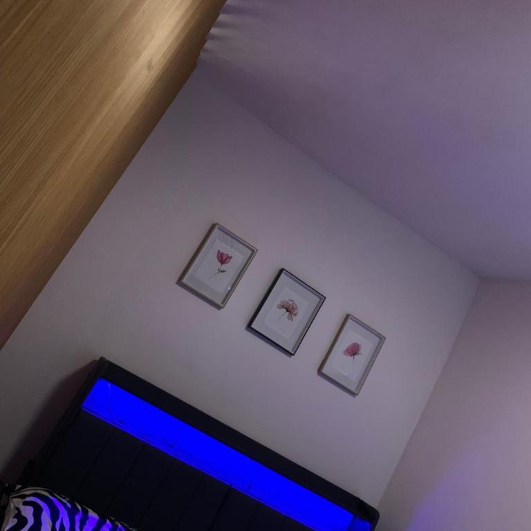 Bello apartamento En ubicacion privilegiada - Apartamento de 1 dormitorio - 13