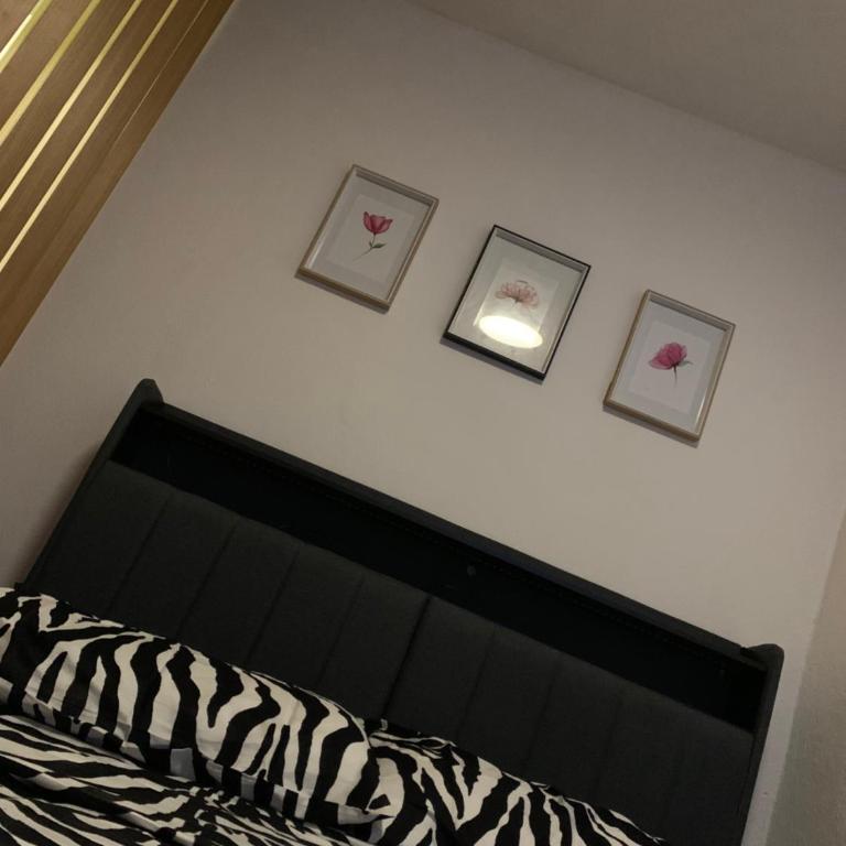 Bello apartamento En ubicacion privilegiada - Apartamento de 1 dormitorio - 15