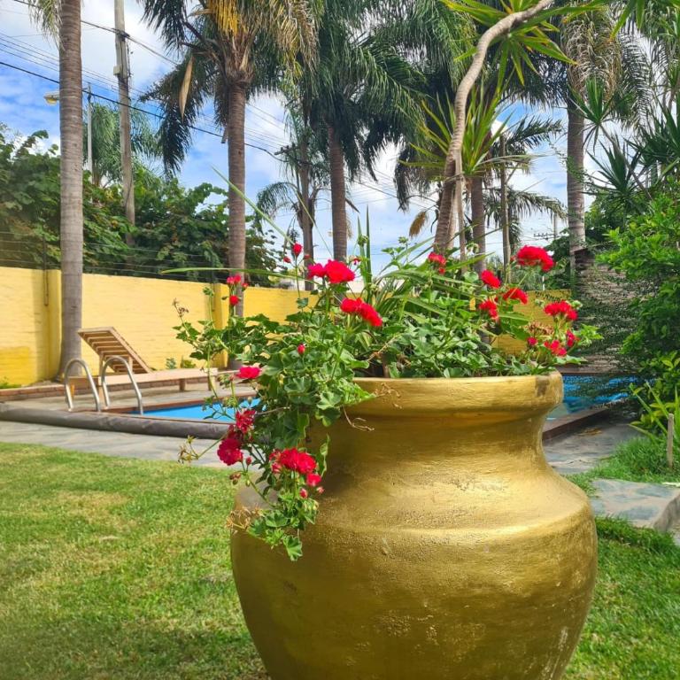 La luna - Casa con 1 dormitorio - 9