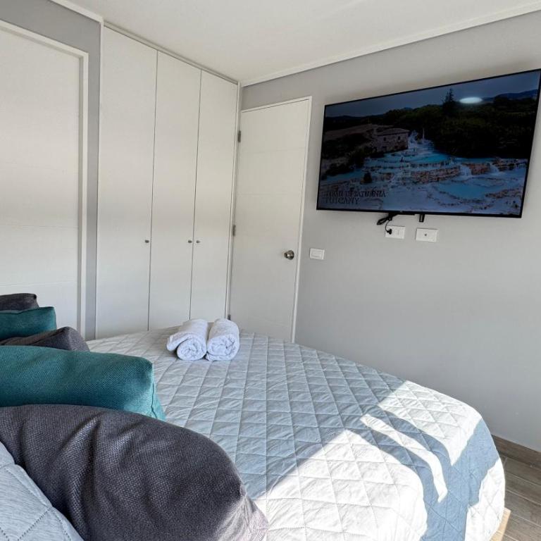 Movistar Arena, Parq OHiggins Estacionamiento Gratis - One-Bedroom Apartment - 6