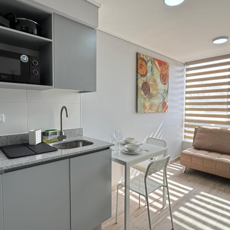 Movistar Arena, Parq OHiggins Estacionamiento Gratis - One-Bedroom Apartment - 13