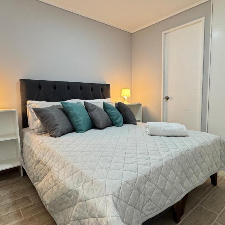 Movistar Arena, Parq OHiggins Estacionamiento Gratis - One-Bedroom Apartment - 17