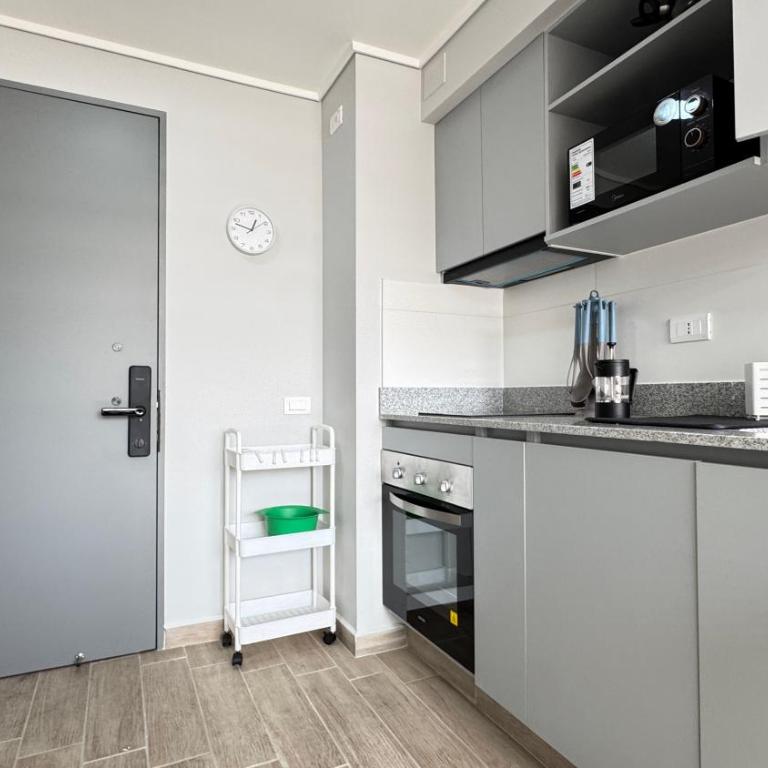Movistar Arena, Parq OHiggins Estacionamiento Gratis - One-Bedroom Apartment - 21