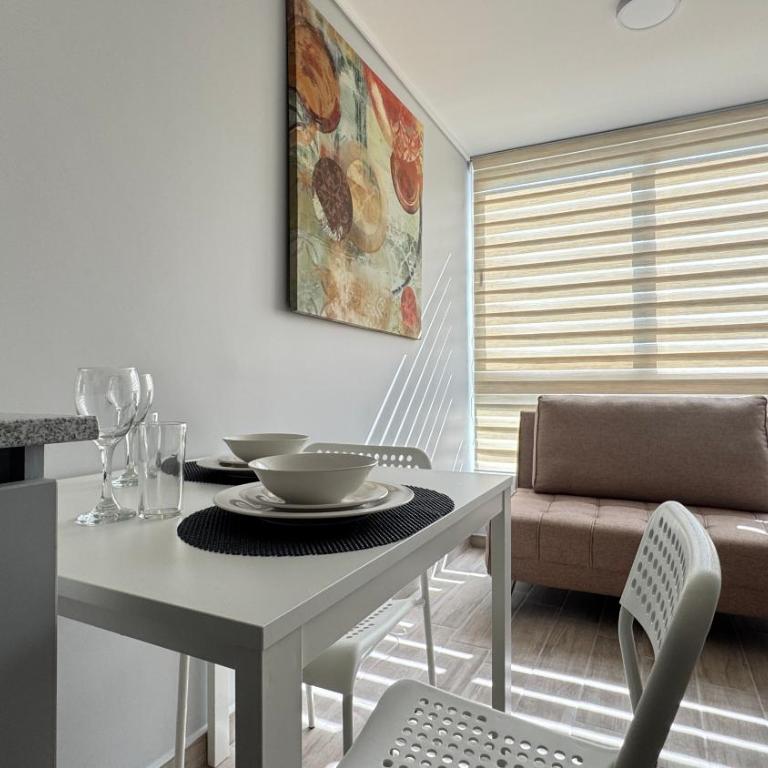 Movistar Arena, Parq OHiggins Estacionamiento Gratis - One-Bedroom Apartment - 33
